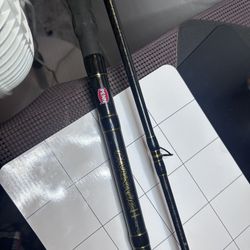12 Ft Fishing Pole