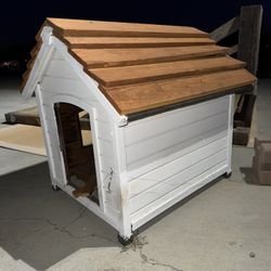 Dog House 