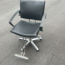 Salon Chair