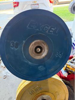 Excel 35 lbs bumper plates x2 older just need to be cleaned up