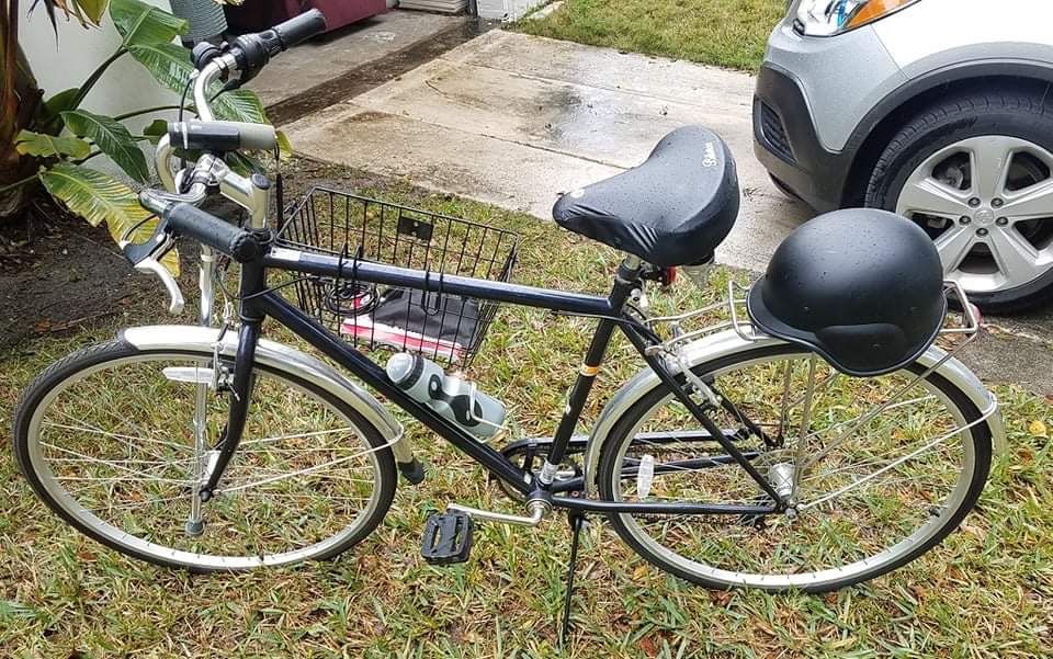 schwinn bike cushion
