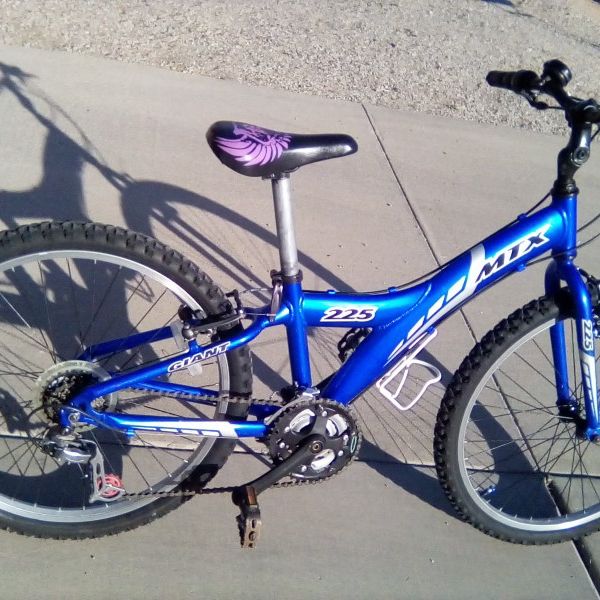 Giant mtx store 225 bike price