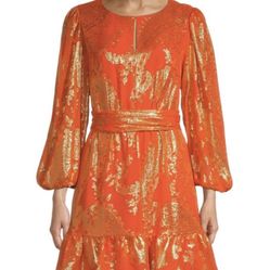 Leah Metallic Silk-Blend Dress size 4