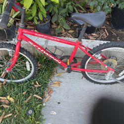 Bicicleta