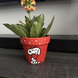 Hand-Painted Mini Flower Pot with Kalanchoe – Snoopy Design