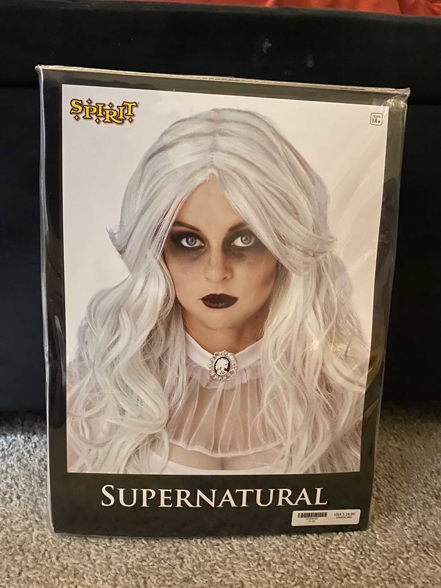 Spirit Halloween Long White Hair 
