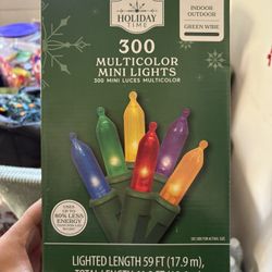 LED christmas lights