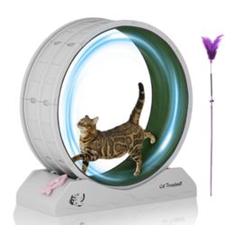 Cat Exercise Wheel 31.5 Inch 