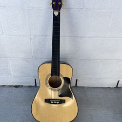 Acoustic Guitar