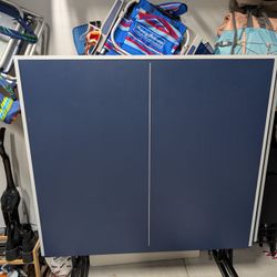 Joola Indoor Pingpong Table