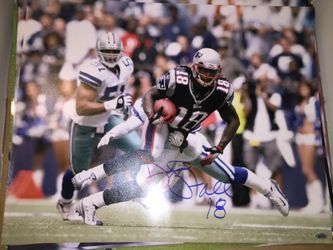 Donté Stallworth autographed 16x20 photo