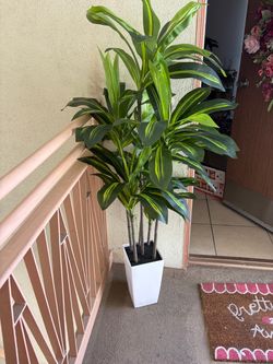 Large Fake Plant