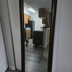 Mirror 