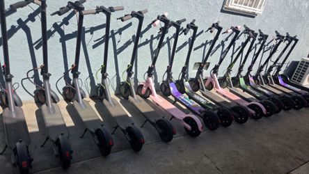 Adult electric scooter