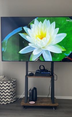 LG 65 inch TV