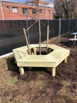 New tree bench