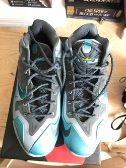 Nike LeBron James size 11