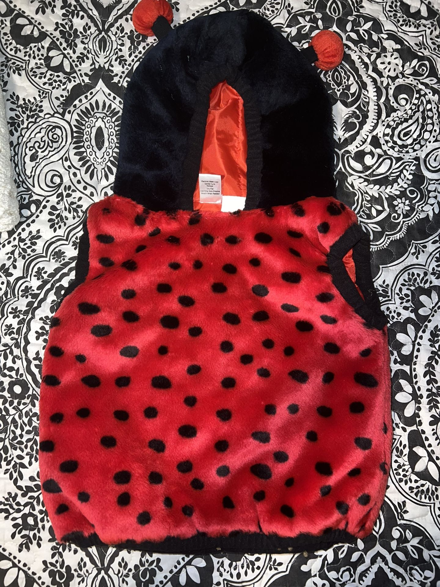Lady Bug Costume