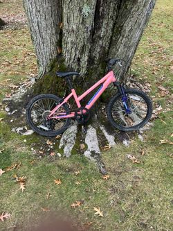 20” Nishiki Mountain Bike