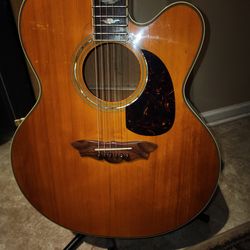 Vintage Washburn J28SM