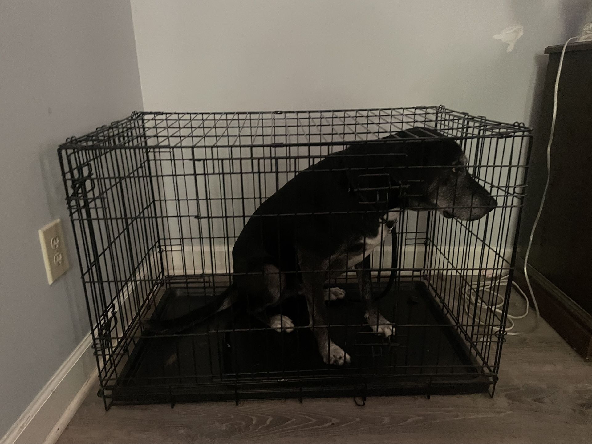 Large Kennel