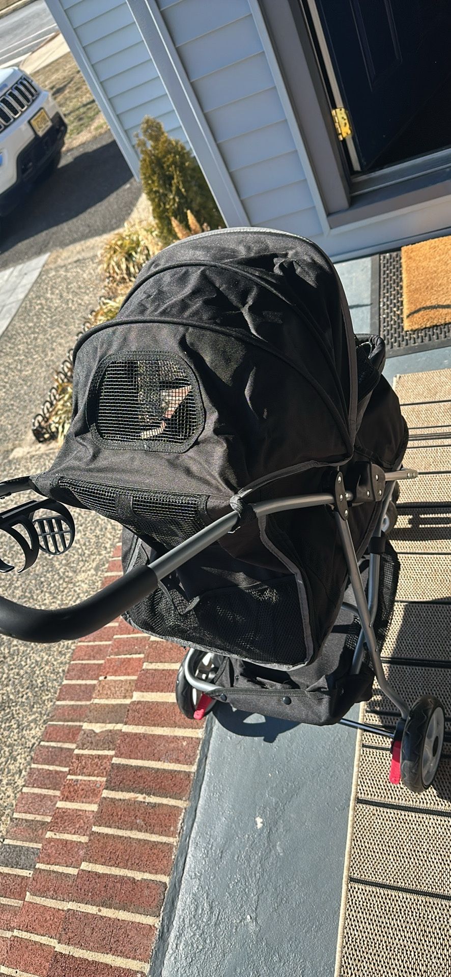 Dog Stroller