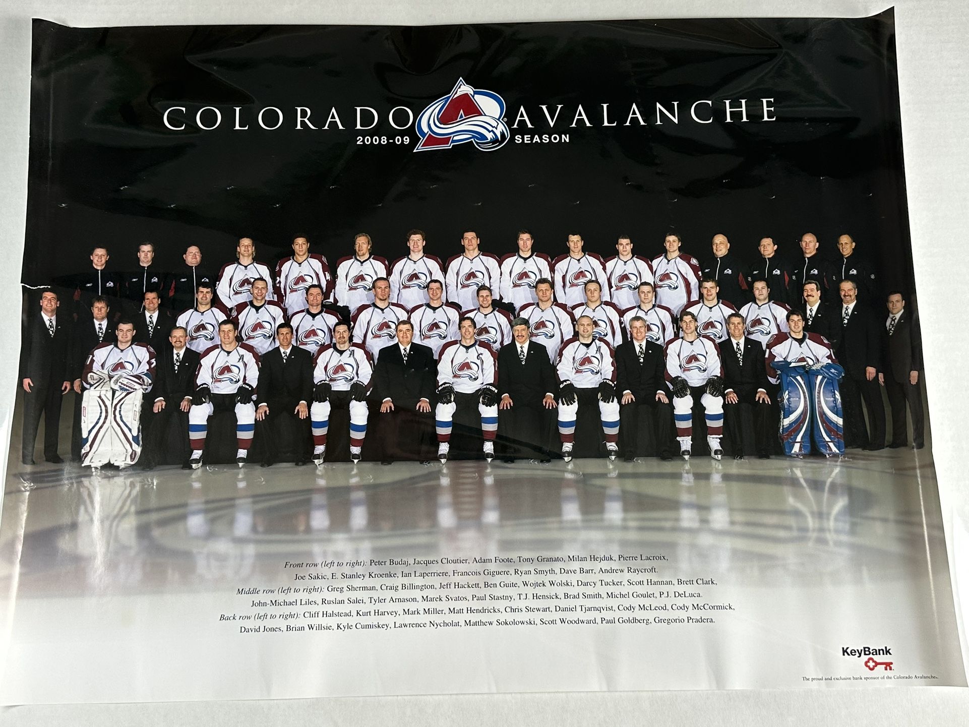 14 Vintage Colorado Avalanche Avs Team and Player Posters, Late 90s to Early 2000s