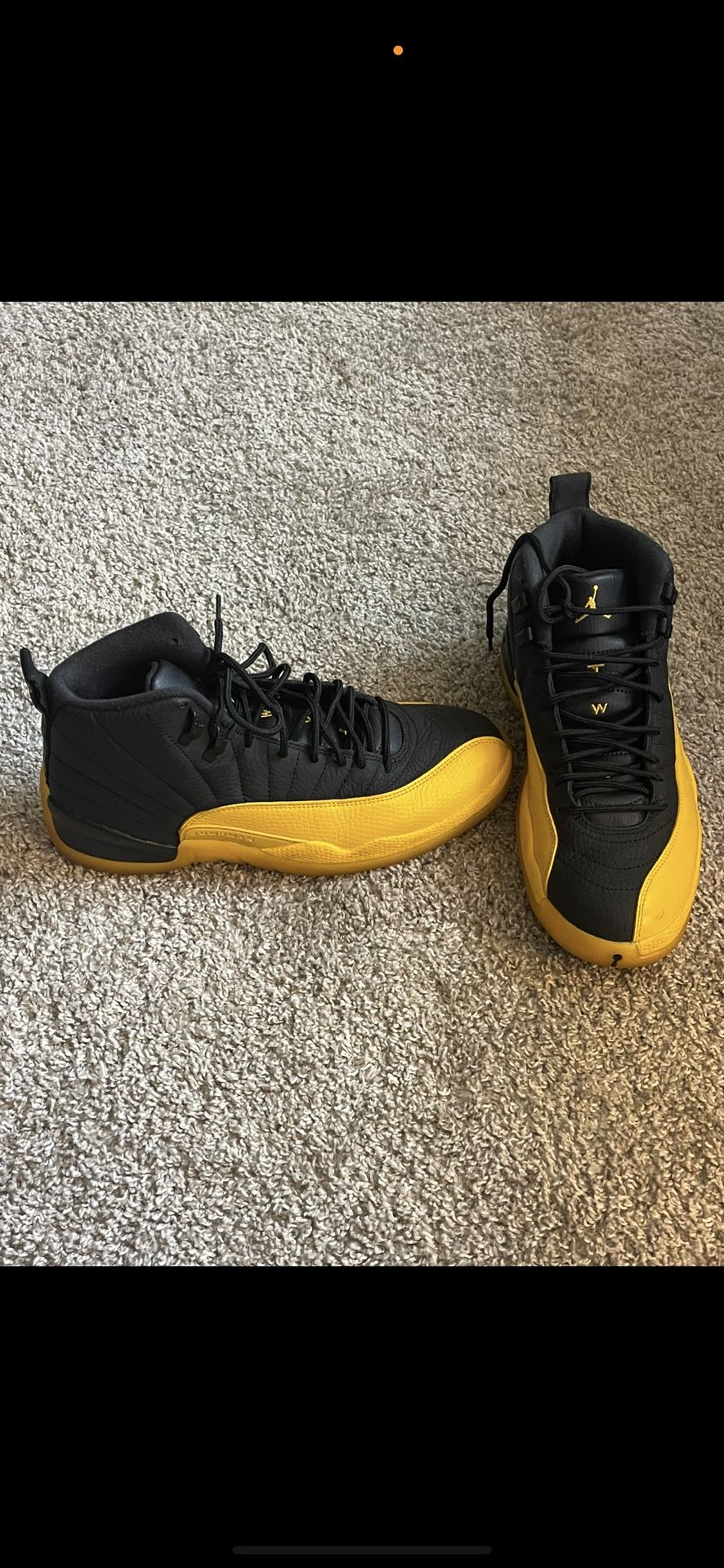 Jordan Air 12 Retro