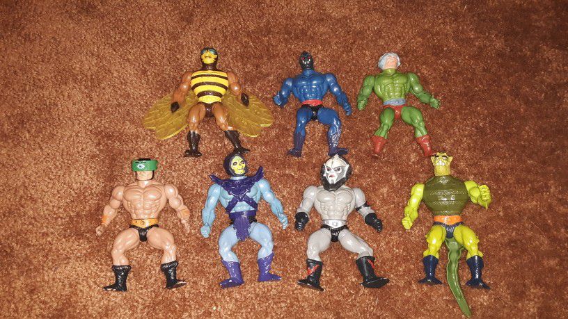Masters of The Universe Action Figures 