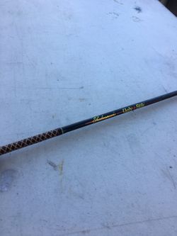 Shakespeare ugly stick 5’-0”