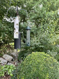 Iron Bird Feeder Stand And (3) Feeders