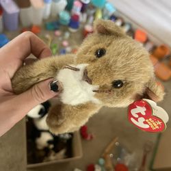 Ty Beanie Baby Manes