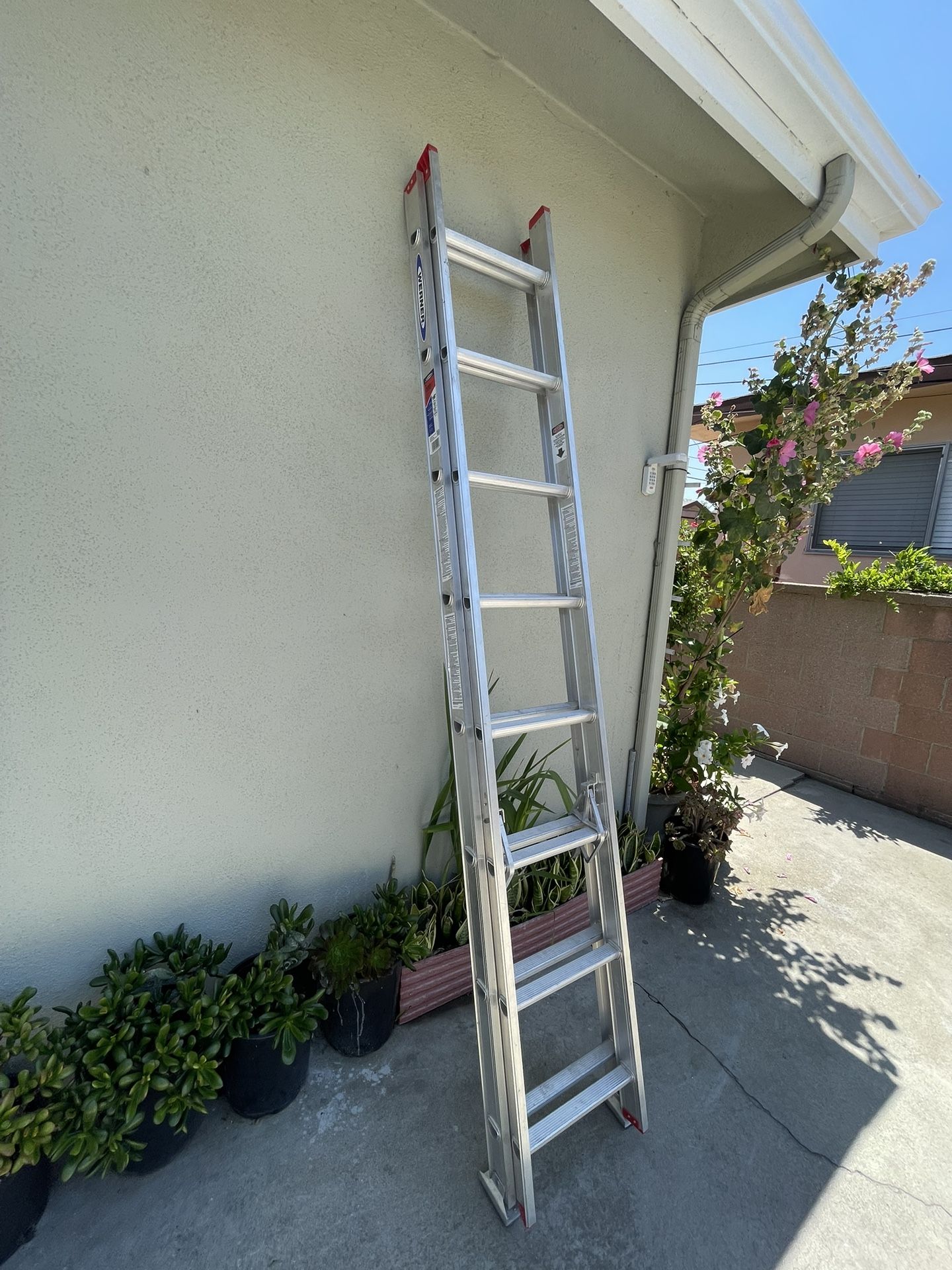WARNER 16 ‘ LADDER 🪜