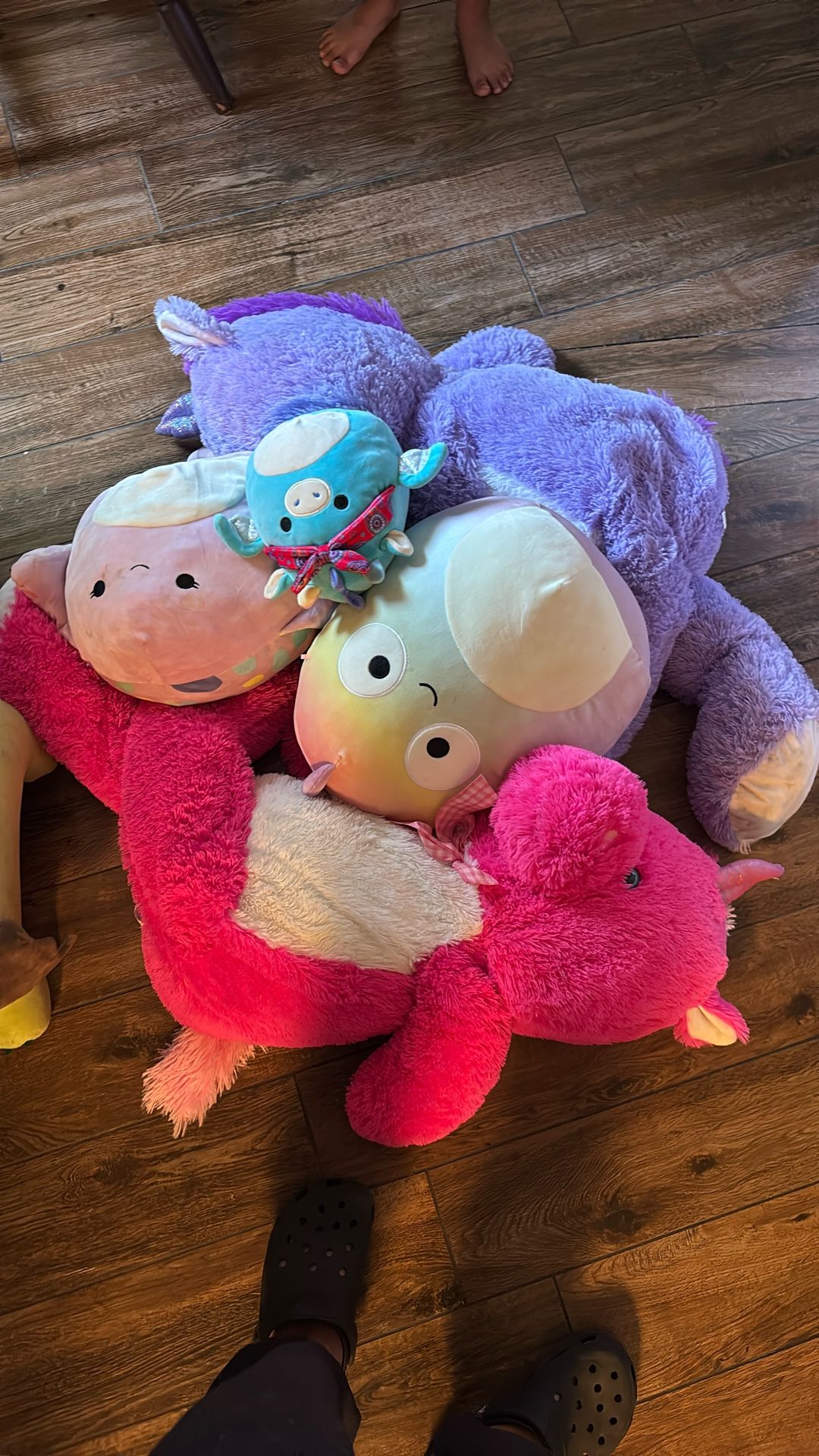 Free Stuffed Animals 