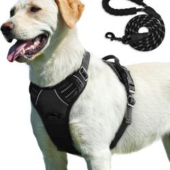 Wholesale Dog Harness, For Resellers & Dog Owners