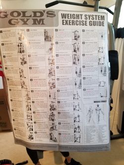 Gold's gym xr45 workout chart hot sale