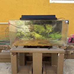 45 Gallon Aquarium