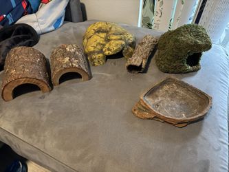 Reptile Decor
