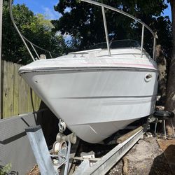 Chris Craft 1991 26’ project