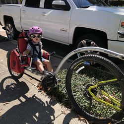 Weehoo Bike Trailer
