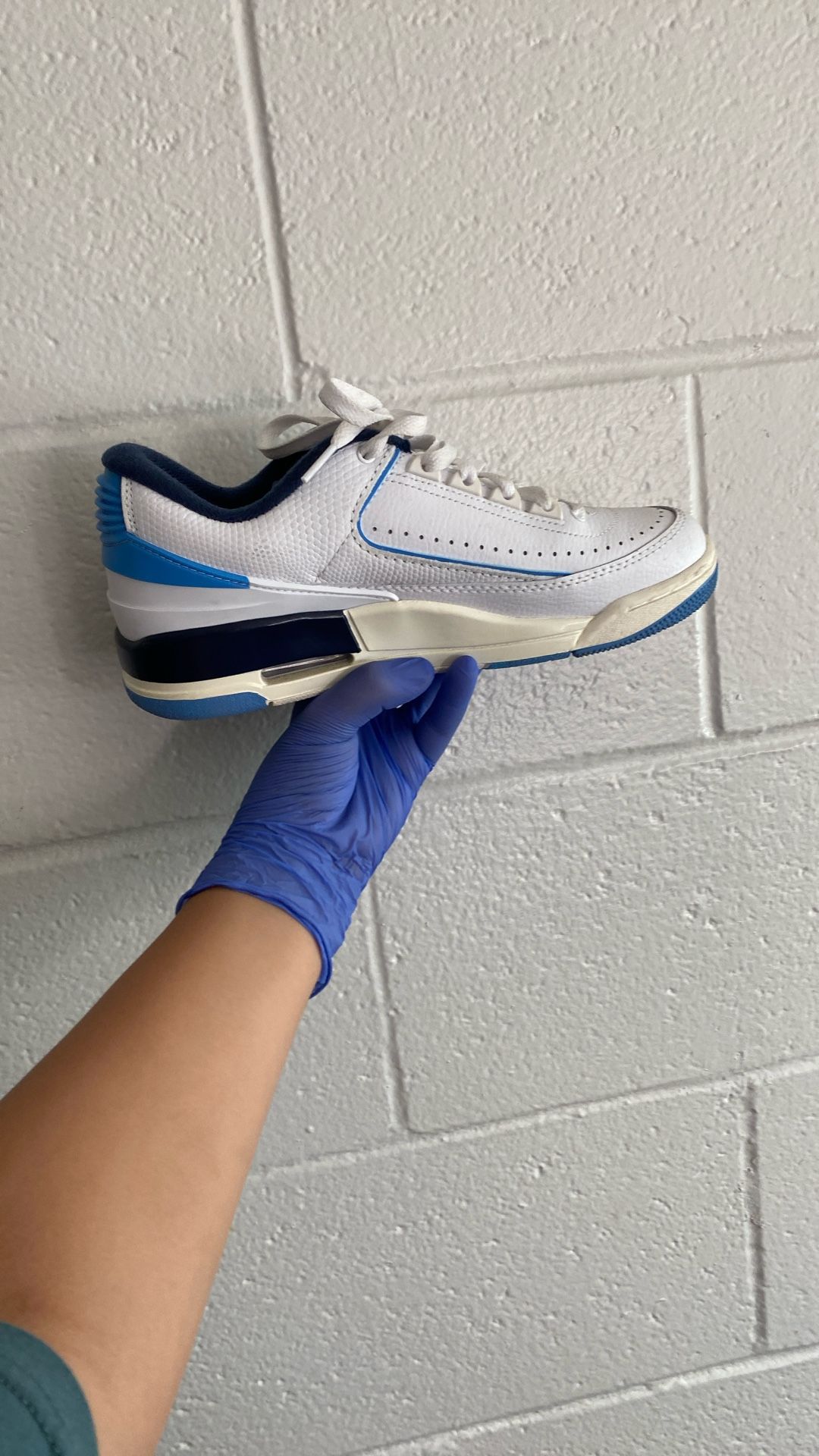 Blue Jordan 2