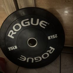 Rouge Plate 25lbb