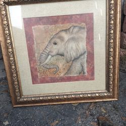 A Elephant Picture With Frame