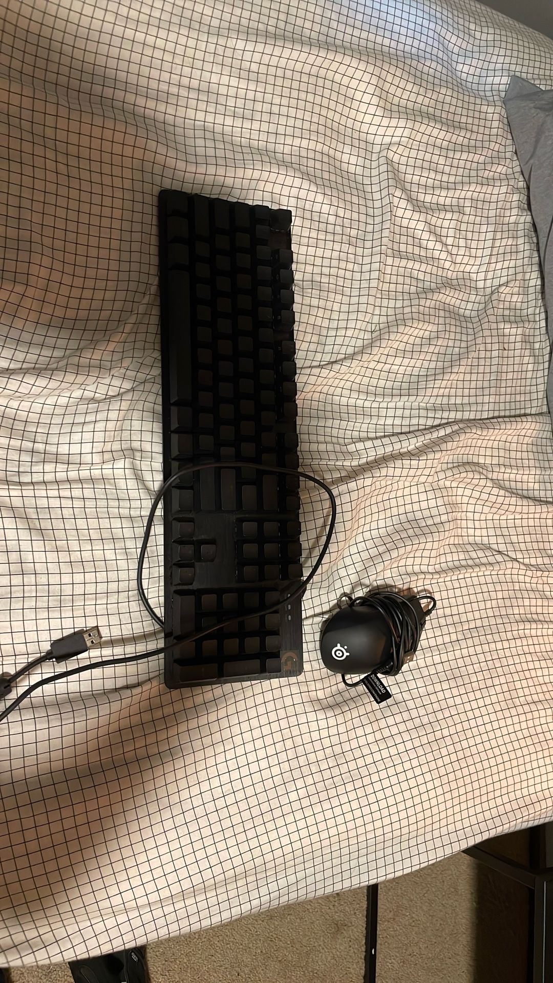 Logitech keyboard and steel series mouse