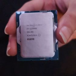 12th Gen Intel i9-12900k CPU 