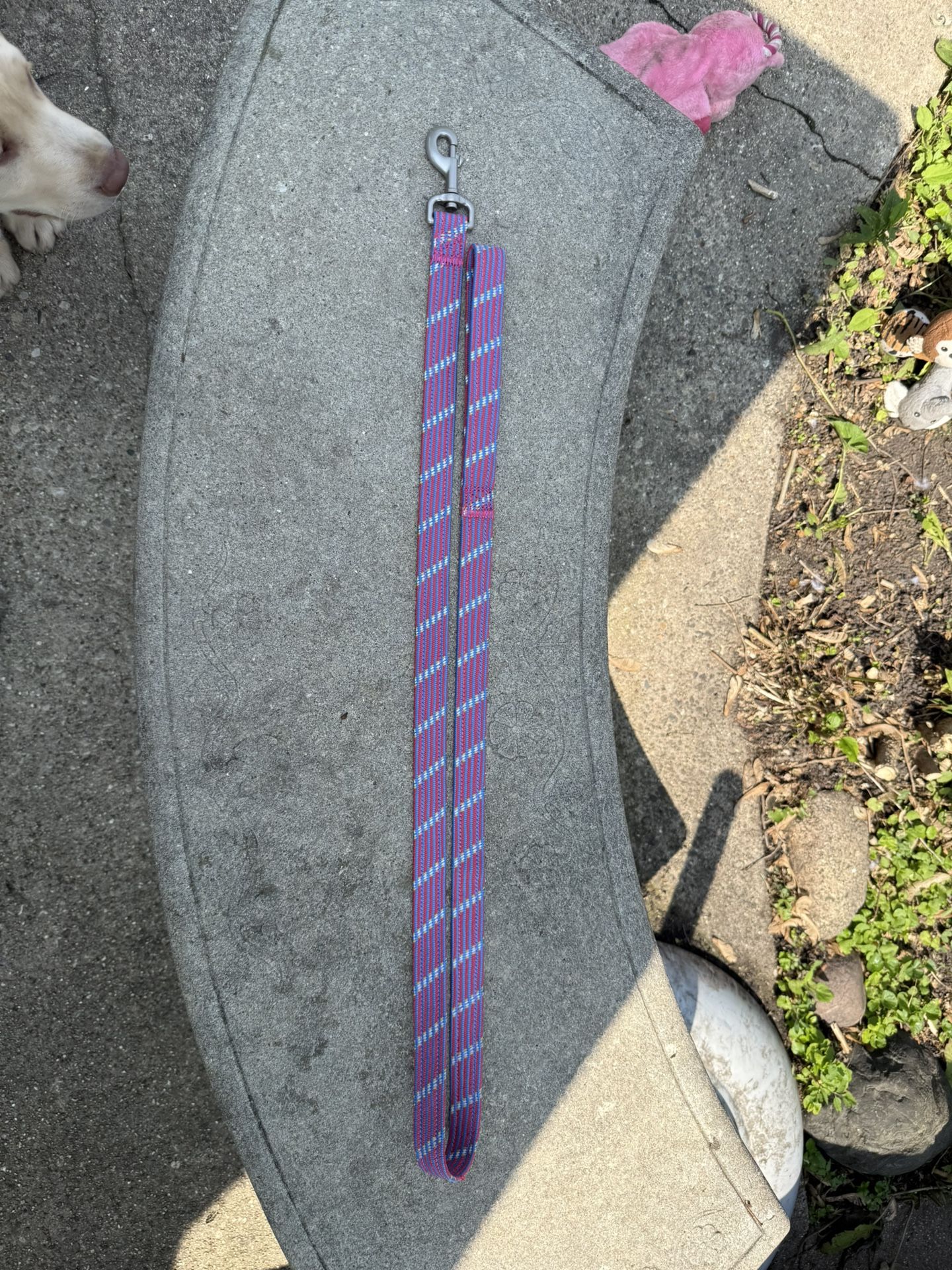 5 Foot Dog Leash