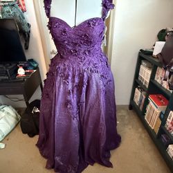 Selling Brand New Quinceañera Dress 