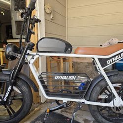 Dynalion K7-2 Fat Tire EBike And Charger