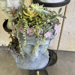 Succulent Planter