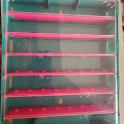 Shopkins Cases 2pcs